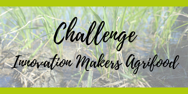Bericht Challenge Innovation Makers Agrifood van start bekijken